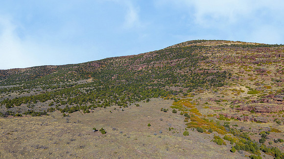 DJI_20251007103217_0156_D