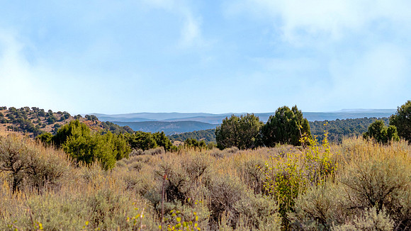 DJI_20251007103711_0165_D