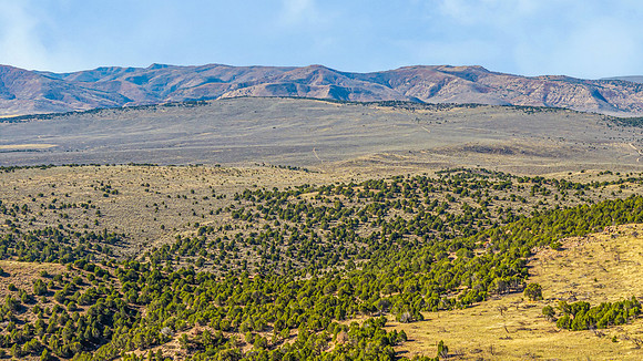 DJI_20251007103143_0154_D