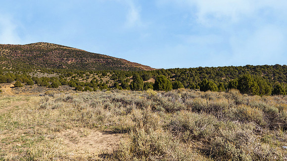 DJI_20251007103647_0163_D