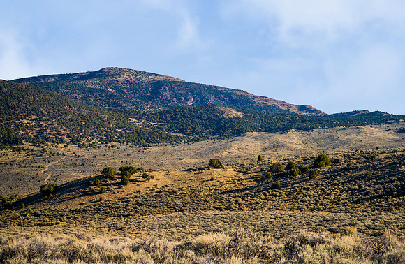 DSC_1547