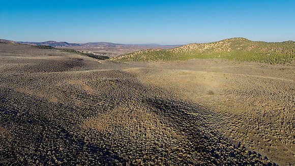 DJI_20251007081525_0071_D