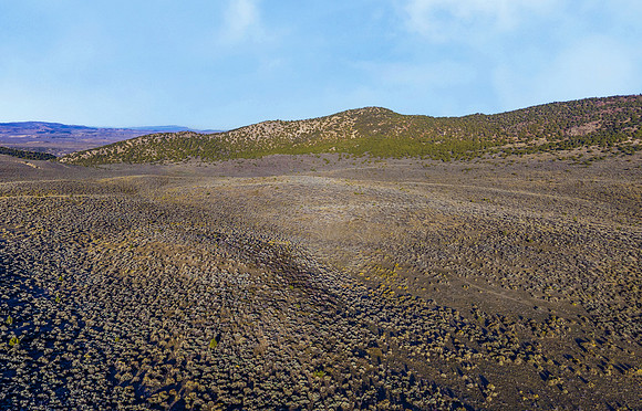DJI_20251007082729_0097_D