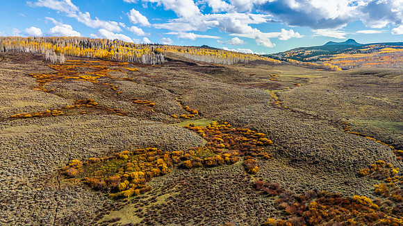 DJI_20251006160731_0012_D