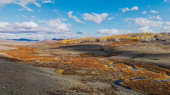 DJI_20251006161114_0024_D