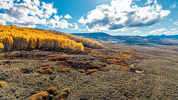 DJI_20251006161341_0027_D