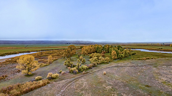 DJI_0950