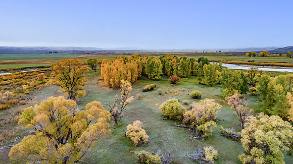 DJI_0952