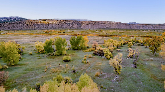 DJI_0953