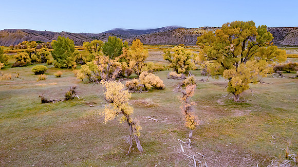 DJI_0956