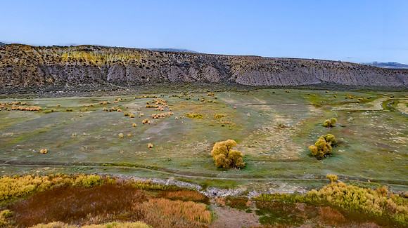 DJI_0966