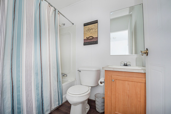 1 (19)guest bath