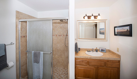 downstairs guest bath (2)