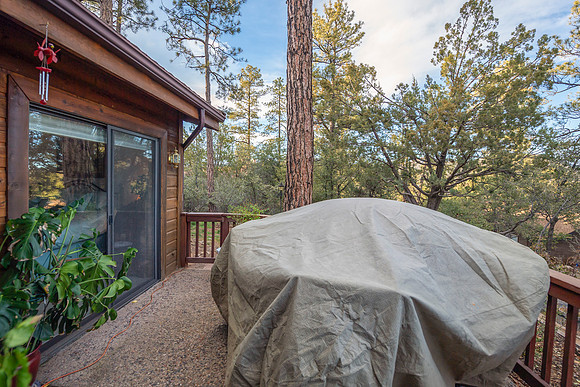 untitled28-patio off master bed