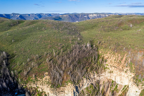 DJI_0127