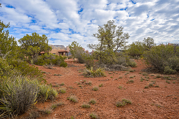 middle of property view