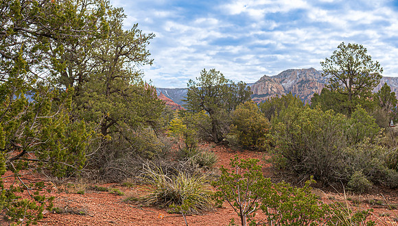 middle of property view 2