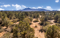 DJI_0298