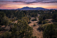 Twilight1
