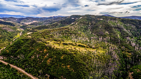 DJI_0291