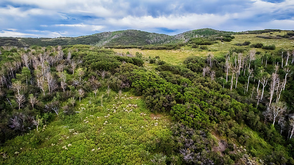 DJI_0345
