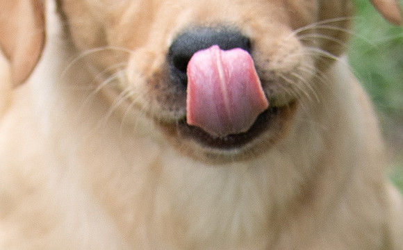 DSC_2889