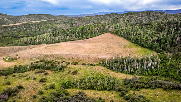 DJI_0307