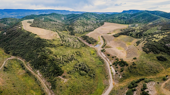 DJI_0334