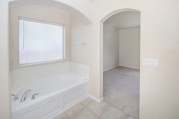 Master bath4