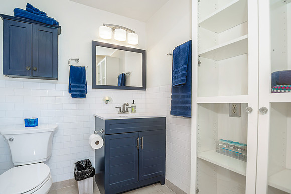 downstairs guest bath