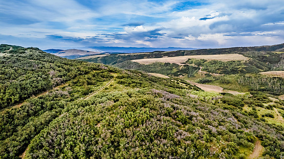 DJI_0313