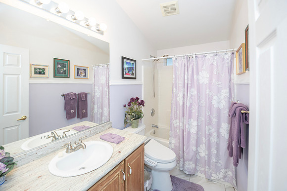 Guest Bath