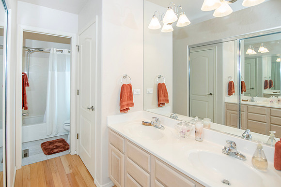 guest bathroom2