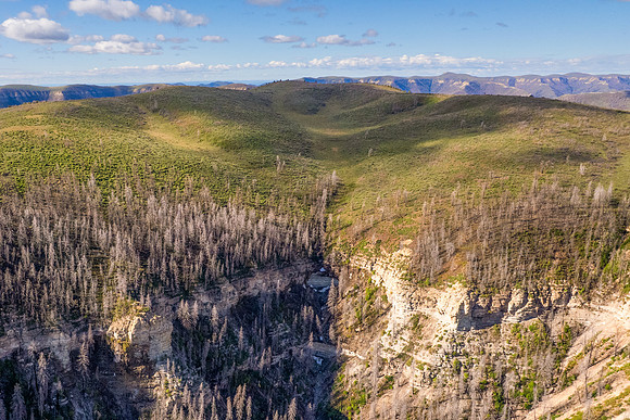 DJI_0152