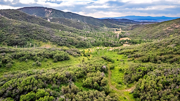 DJI_0309
