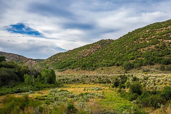 DSC_6269