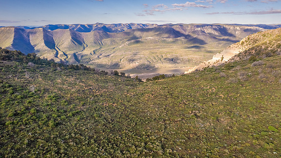 DJI_0120