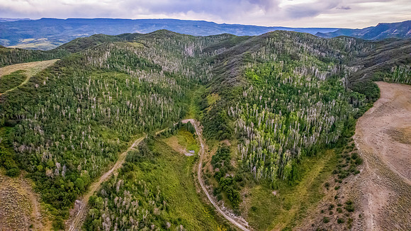 DJI_0369