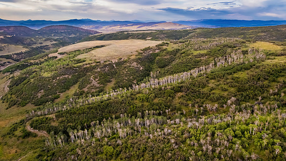 DJI_0360