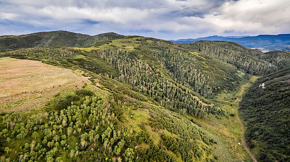 DJI_0338