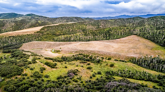 DJI_0314