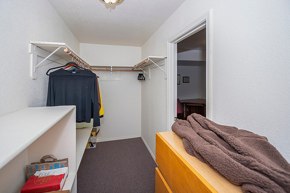 downstairs den closet