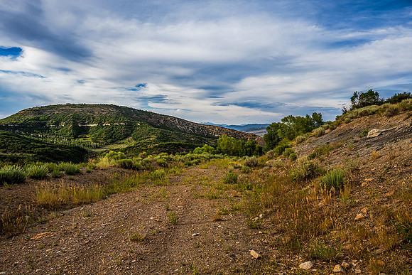 DSC_6274