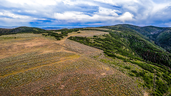 DJI_0294