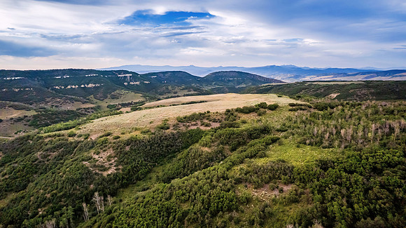 DJI_0351