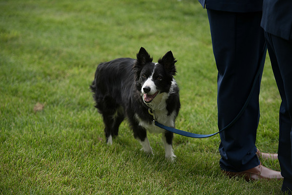 DSC_1759