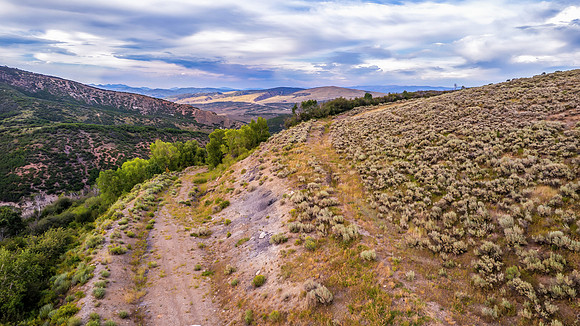 DJI_0303