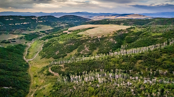 DJI_0362