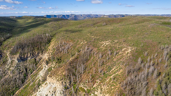 DJI_0153