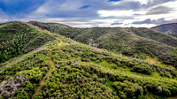 DJI_0311